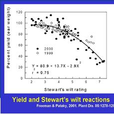 Stewart s wilt vectored by flea beetle: still a severe disease in the Eastern part of the corn belt Plant parasitic nematodes: estimates of nematode populations -> potential damage and loss for a