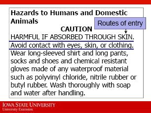Examples include: Do not breathe dust or spray mist and Avoid contact with eyes, skin, or clothing.