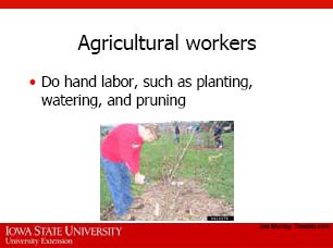 Agricultural workers are individuals employed for any type of compensation, including self-employed workers, doing tasks related to the production