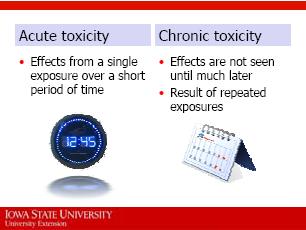 toxicity) or the illness or injury may appear at some later time (chronic