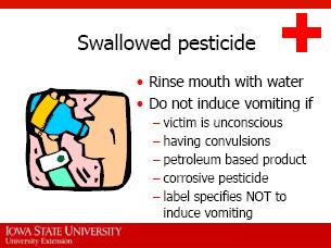 23. You can get pesticides in your mouth from splashing; putting contaminated items and hands in your mouth, like food or cigarettes; or accidentally swallowing the pesticide.