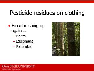 When you are working around crops that have been treated with pesticides, you may get pesticide residues on your clothing. 42.