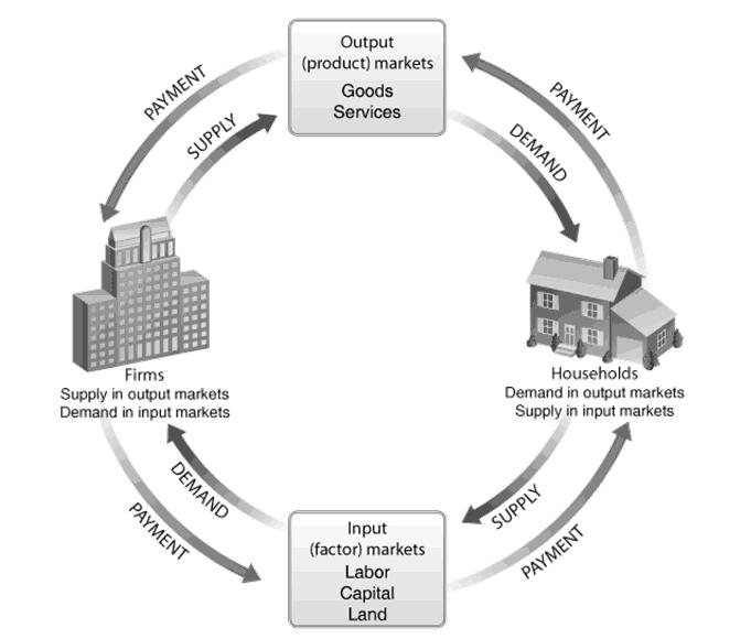 In the circular flow diagram: Goods and services flow clockwise: o Labor services supplied by HH flows to firms. o Goods and services produced by Firms flow to HH.