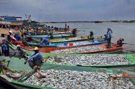 Fisheries Abundance, distribution and stock dynamics Biology of main species Vulnerable marine
