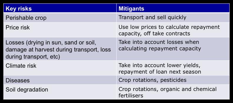 6. Risks The table below summarises the main risks and mitigants with regard to different financing opportunities in the potato sector: a) Input Finance Input finance is probably the only area of the