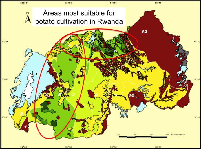 Fig. 1 Best areas for potato cultivation in Rwanda In the key potato growing regions the average yield for consumption