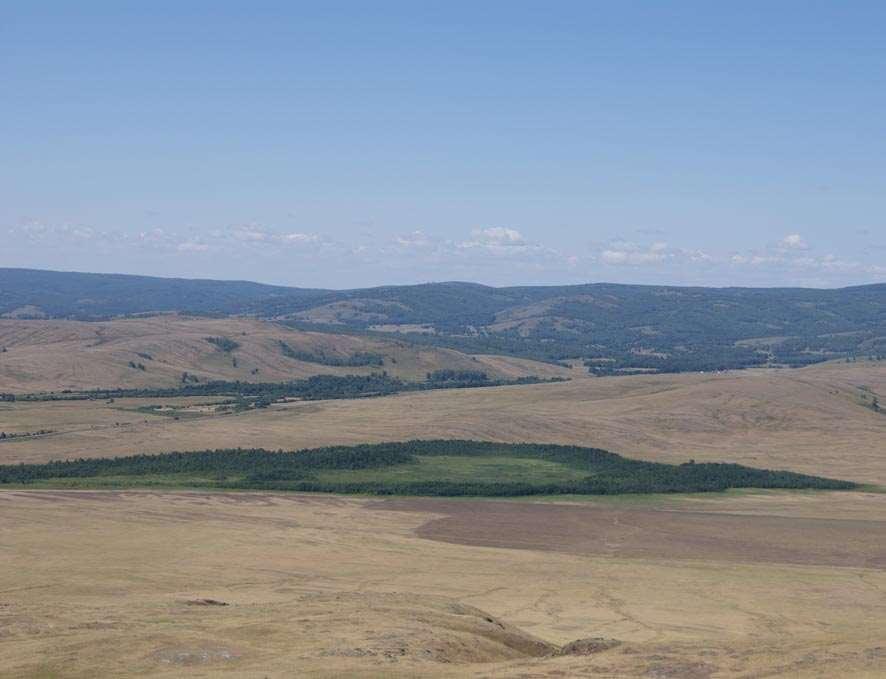 Southern Russia peatlands in forest steppe and steppe regions Peatlands are not large but especially