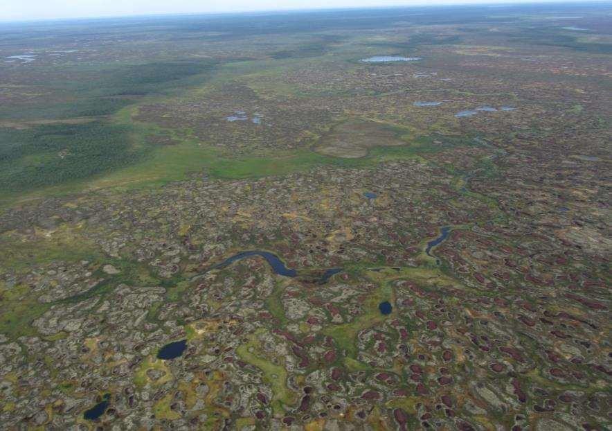 Northern Russia permafrost peatlands The pilot in Northern Russia is aimed on permafrost peatlands which