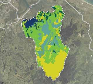 249 ha 313 ha 1099 ha 350 ha Erosion risk in the Welcome Bay sub-catchment Land Use Risk Percent Pasture Medium 21 Pasture High 7 Exotic forest Medium 6