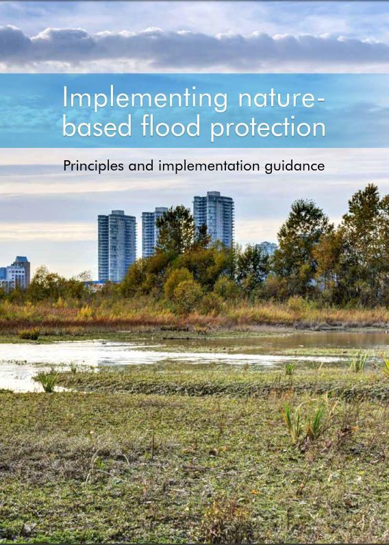 Nature Based Solutions WB guidelines describes five principles for applying NBS 1. System-scale perspective 2.