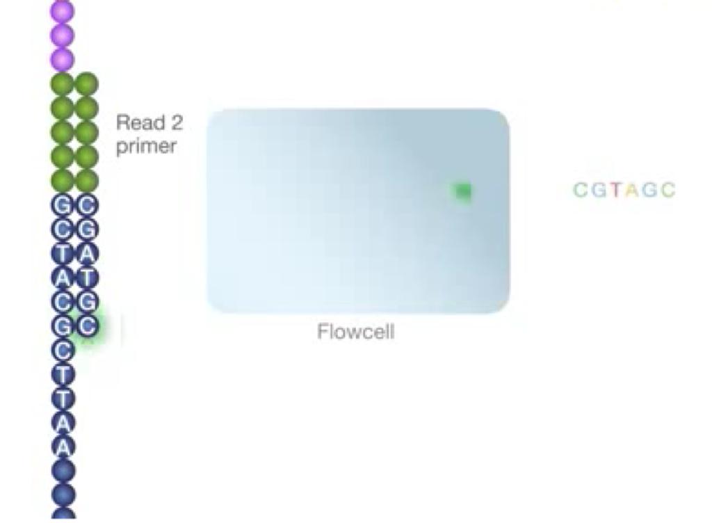 3: Next-Generation Sequencing Chemistry Overview Illumina