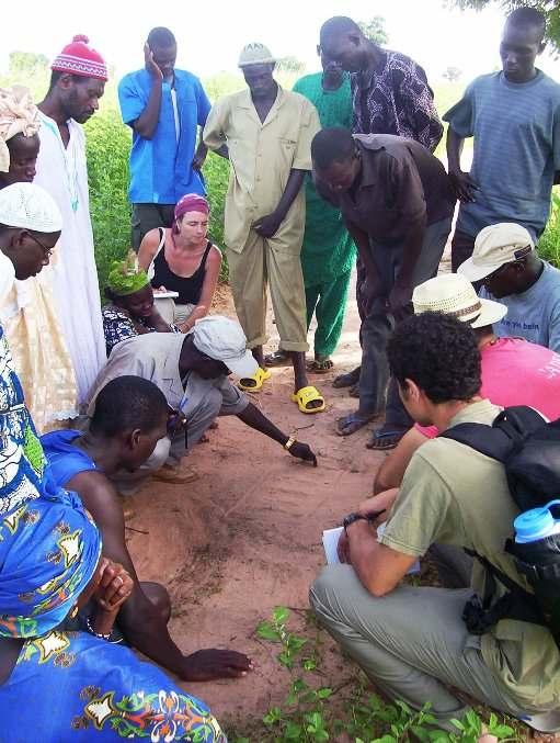 Farmer-to-farmer training Trainings are customized to local needs and evolve through on-going assessments.