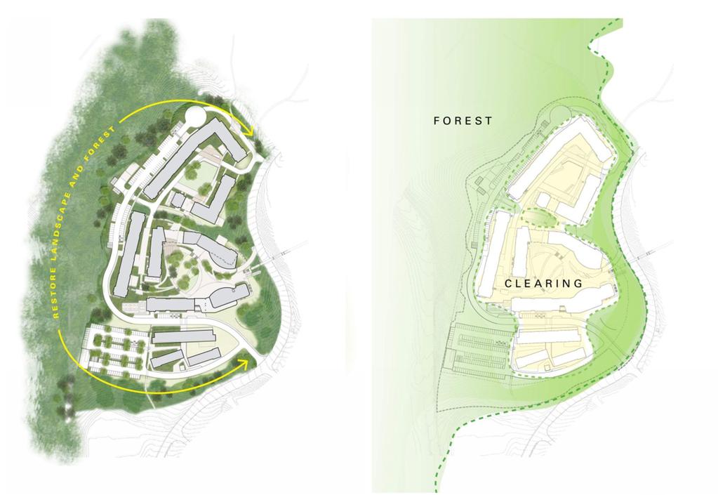 Landscape Mixed forest palette around site edges and corridors to provide forest and habitat connectivity.
