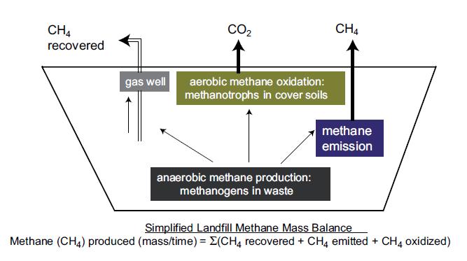 Methane pathways in a
