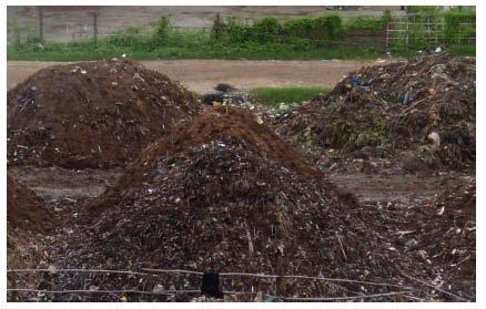 Successful composting requires Good source separation Public awareness