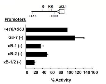 Figure 2.7: NFκB contributes to promoter activity 3 of Dβ2.