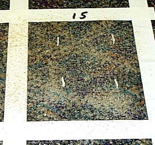 carpet (232.