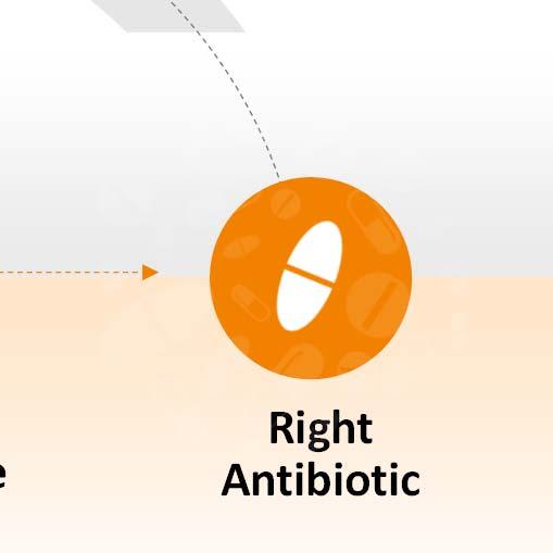 Right Antibiotic Acuitas Rapid Test: <3 hours 4