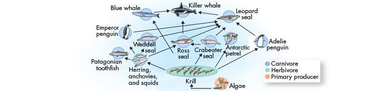 The Science of Ecology Organisms respond to their environments and