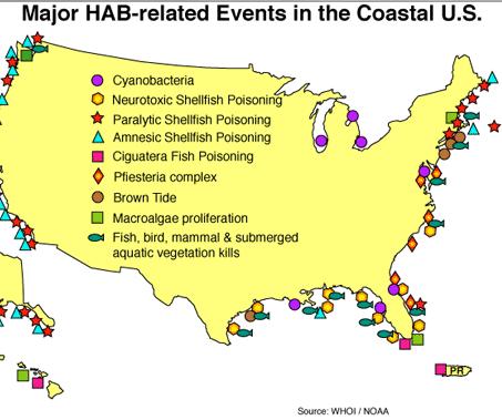 HARMFUL ALGAL BLOOMS How will OA affect the