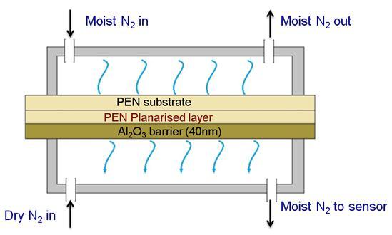 continuous stream of permeant gas to maintain a constant pressure/concentration.