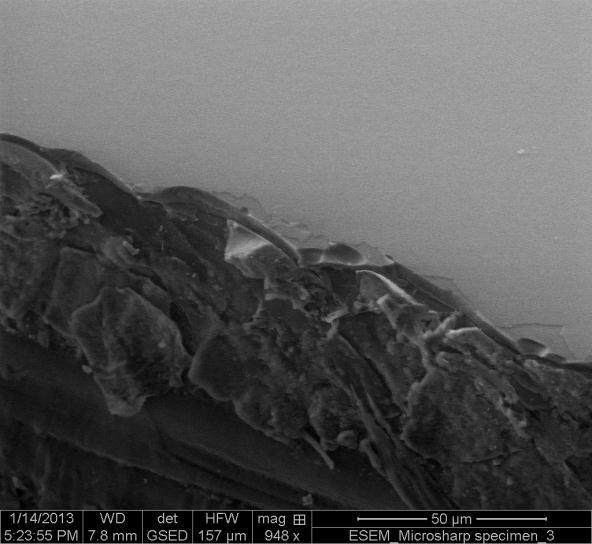To go beyond the limitations of this instrument, a FEI Quanta 250 field emission gun environmental scanning electron microscopy (FEG-ESEM) was performed to image the Al 2 O 3 barrier layers.