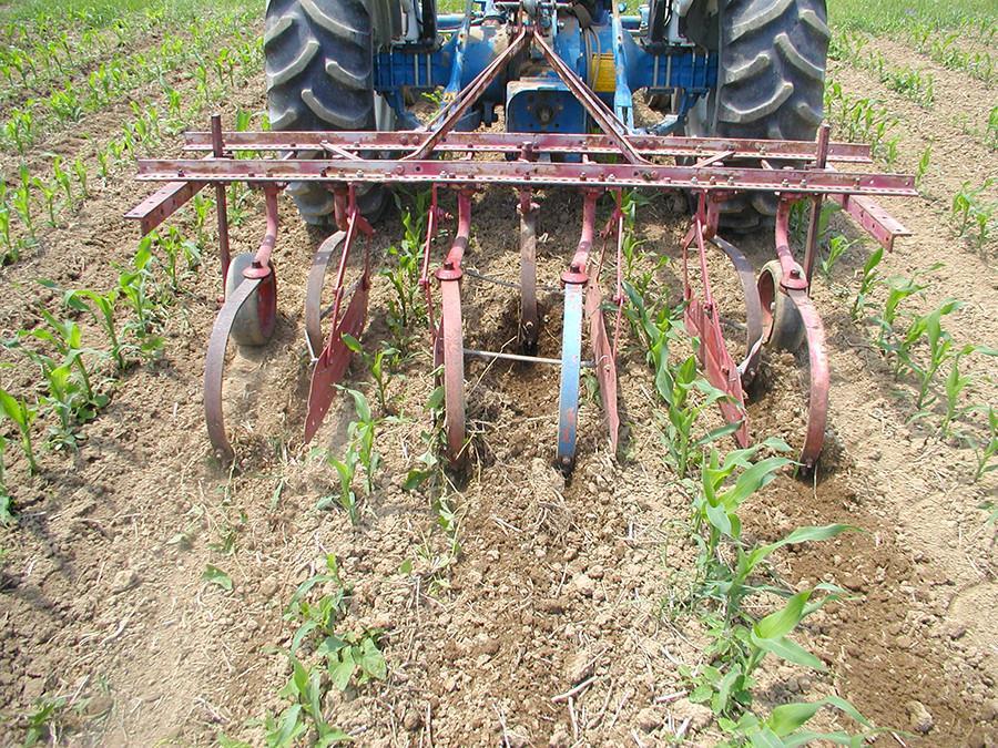 Tillage Changes physical & chemical properties of soil: Loss of soil