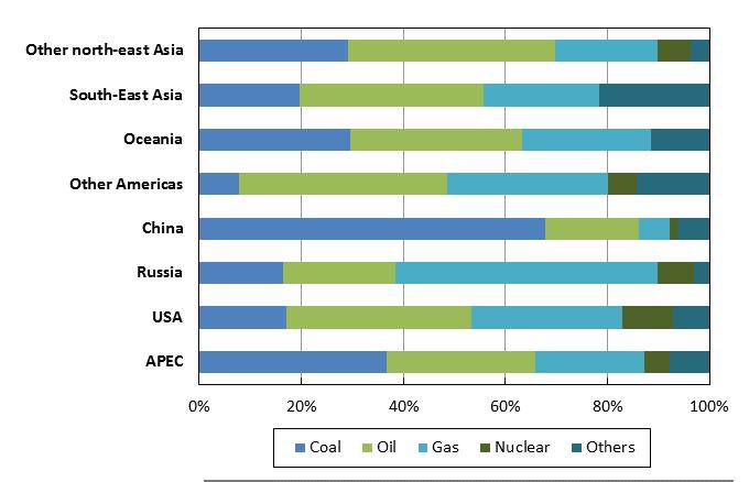 Fossil fuels dominated the primary energy mix in APEC with more than 80% share on average from to.