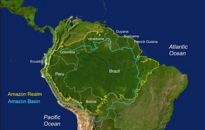 Purpose of the GIS Analysis To provide a strong and consistent scientific underpinning for the WWF Amazon Vision and Strategy development by: Identifying representative habitats to conserve the full