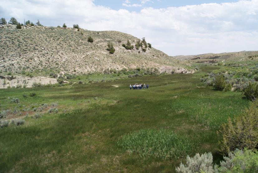 Case Studies: Wyoming Headwater Reach Fed by Groundwater Discharge How Well can This Wetland
