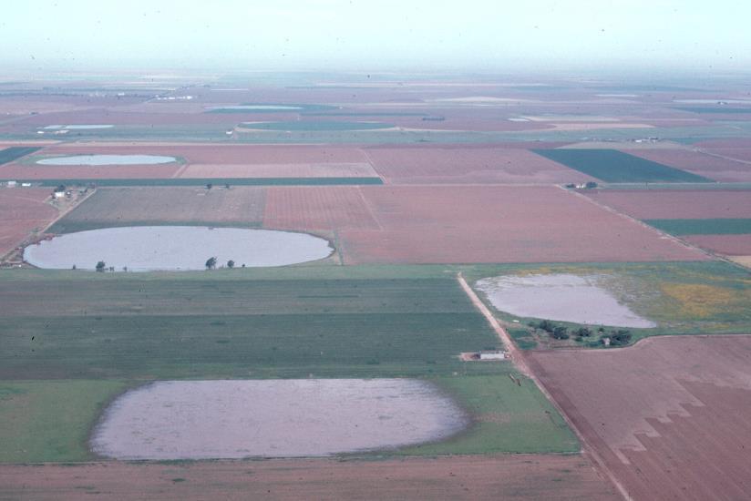 Case Studies: High Plains Playa TX Panhandle Fed by surface runoff How Well can This Wetland