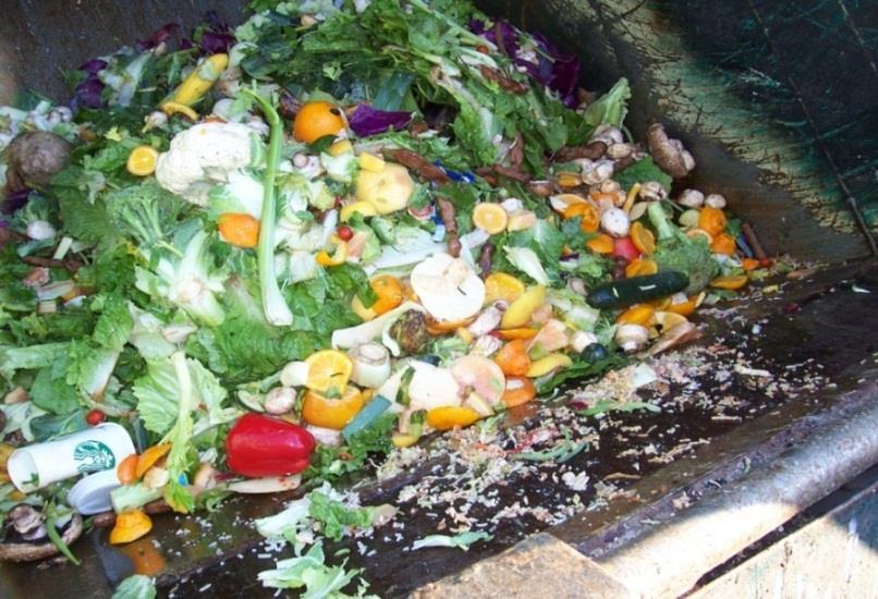 Market Analysis: Start with Commercial Food Waste