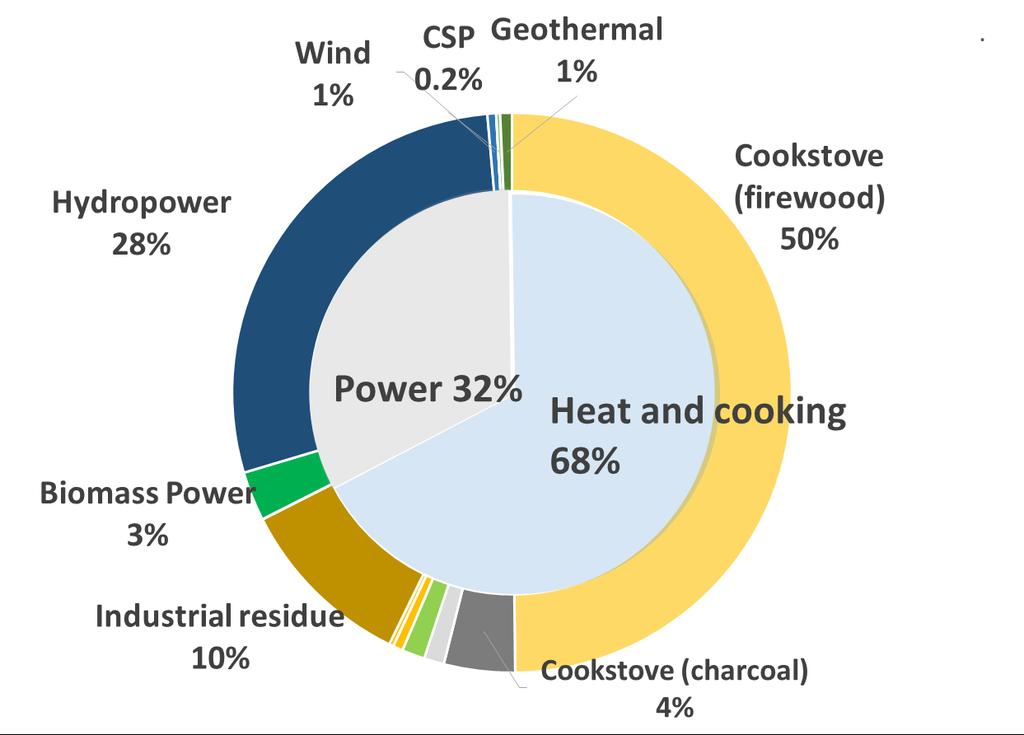 Renewable energy use in 2013 Traditional biomass 11.
