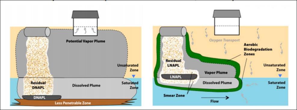 Vapor Intrusion and Petroleum Vapor Intrusion Chlorinated Solvent