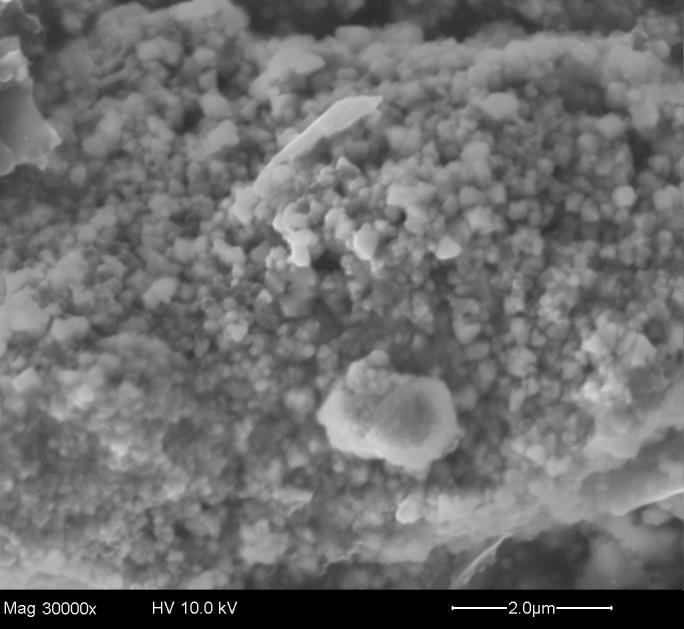 Particles: <10 µm BET