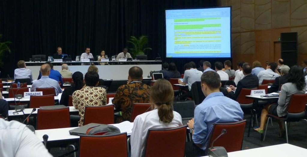 CMP7/COP17 Durban 2011 Negotiations on CCS CDM Over 32 hours of formal negotiations What is this carbon capture?