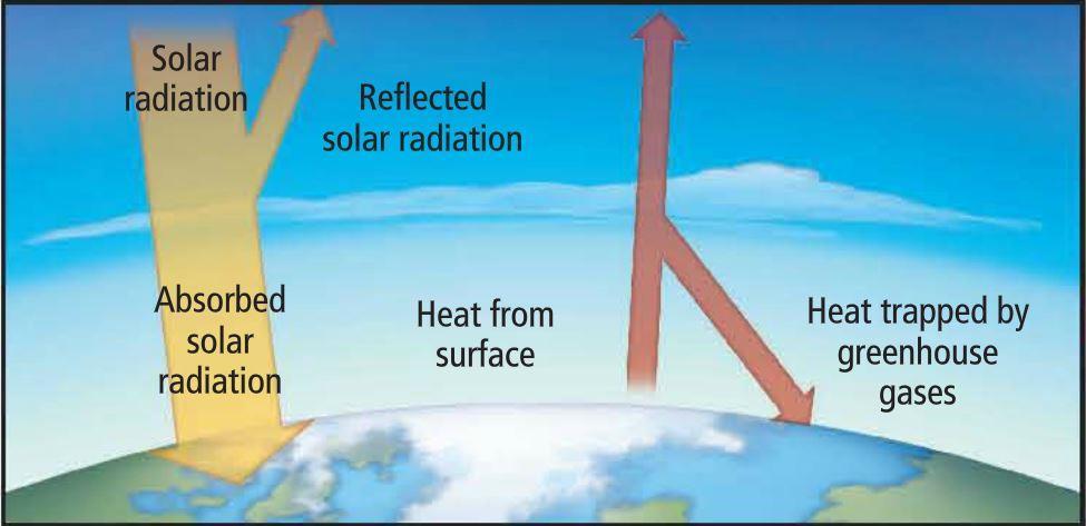 Biomes 400 A global factor that affects climate by trapping warmth from sunlight within the