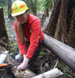 Forestry science for