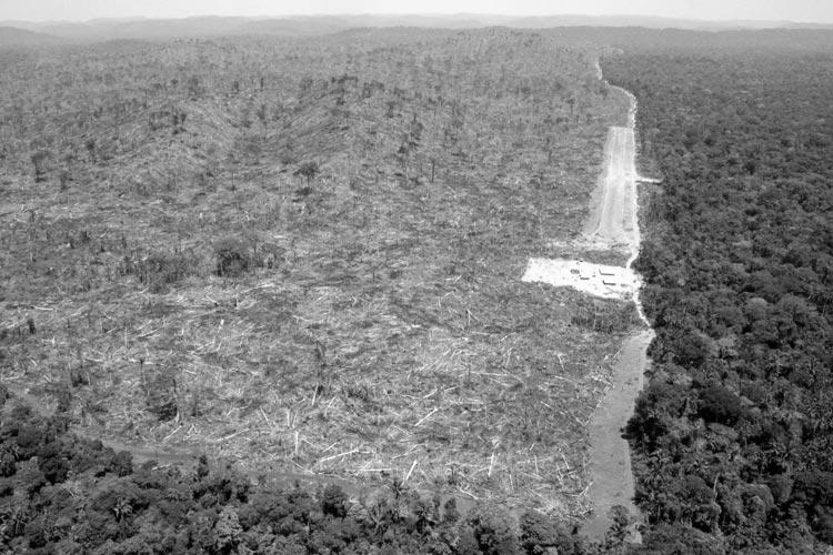 #3 - Deforestation Loss of Amazon Rain Forest May Come Sooner Than Expected National Geographic News June 26, 2001 Scotland While many environmental issues divide people around the world, most