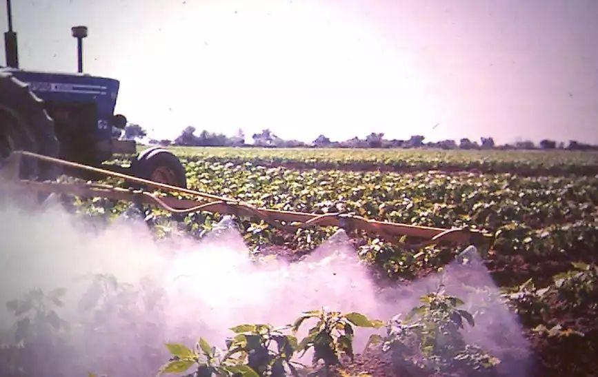Types of Pesticides Fumigants -