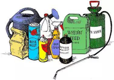 Types of Pesticides Inorganic - highly toxic (include compounds of