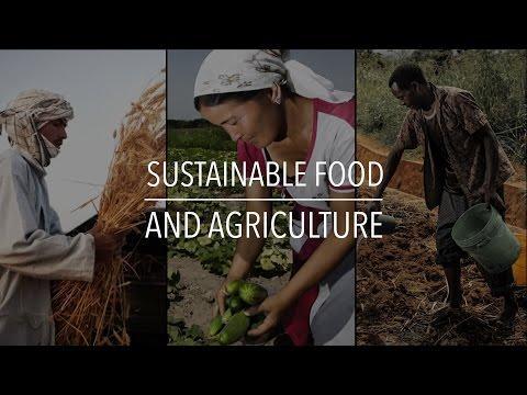 Sustainable Agriculture Integrates environmental health, economic profitability, and