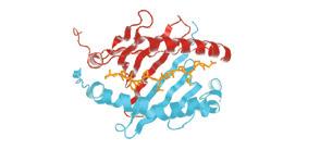 ORAL SWAB BLOOD DNA RNA SERUM BIOPSY METABOLITES FECES 120 130 G A T