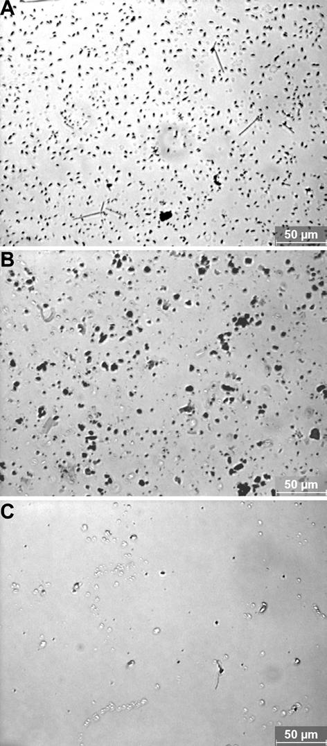 by microscopy at the magnification of 400 (Figure S1). These results indicated that the aggregates of ND were much smaller than that of CNT and GO.