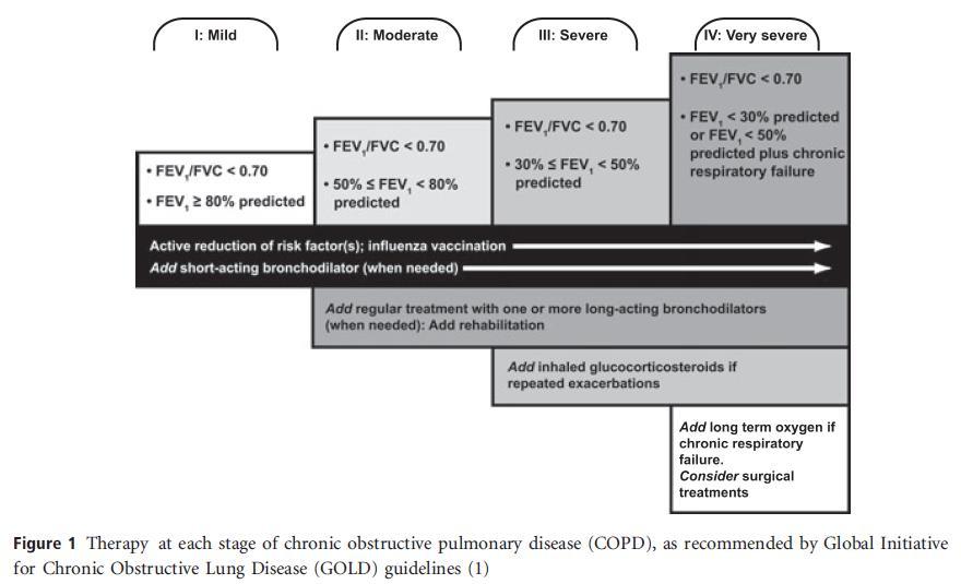 Chronic Obstructive Pulmonary Disease Stages Stages Dx