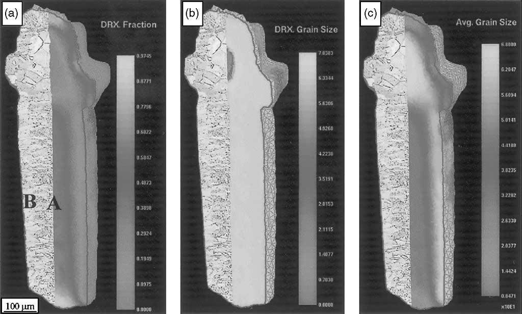 Actual grain structure and simulated microstructure contour of the finish forging: (a) recrystallization fraction; (b) recrystallized grain size ( m); (c) average grain size ( m).