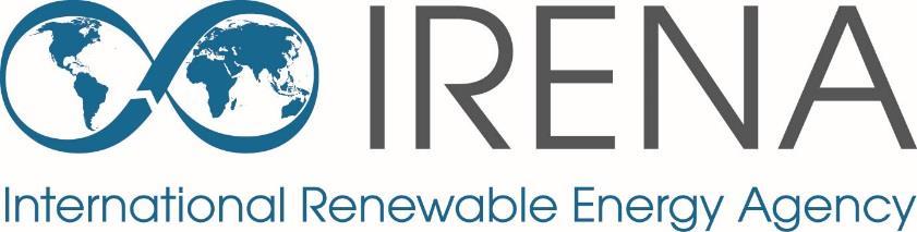 Support and Partnerships, IRENA Workshop on