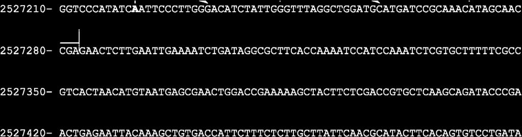 Annotations above the DNA sequence