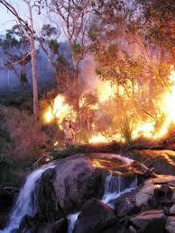 Fire-smart riparian landscape management and restoration and the