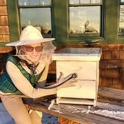 MEDICAL CARE Most beekeepers
